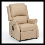 Chicago Rise and Recliner Standard & Petite #1