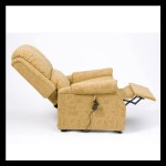 Chicago Rise and Recliner Standard & Petite #4